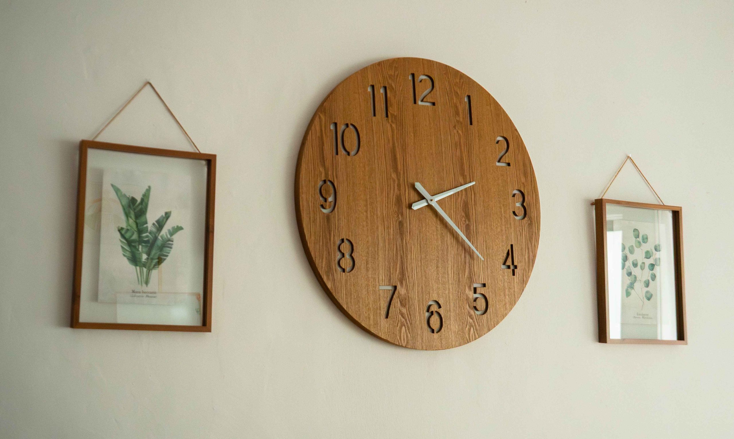 Instalaciones Centro Social Alba San Pedro Alcántara ambiente acogedor Málaga